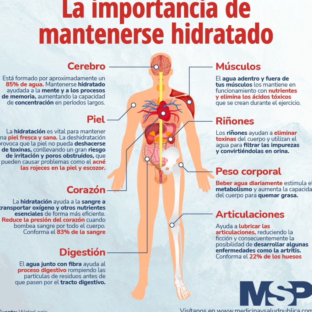 Estrategias infalibles para mantener tu cuerpo perfectamente hidratado 1 estrategias infalibles para mantener tu cuerpo perfectamente hidratado